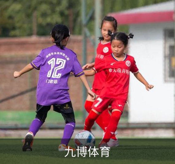 关于九博体育